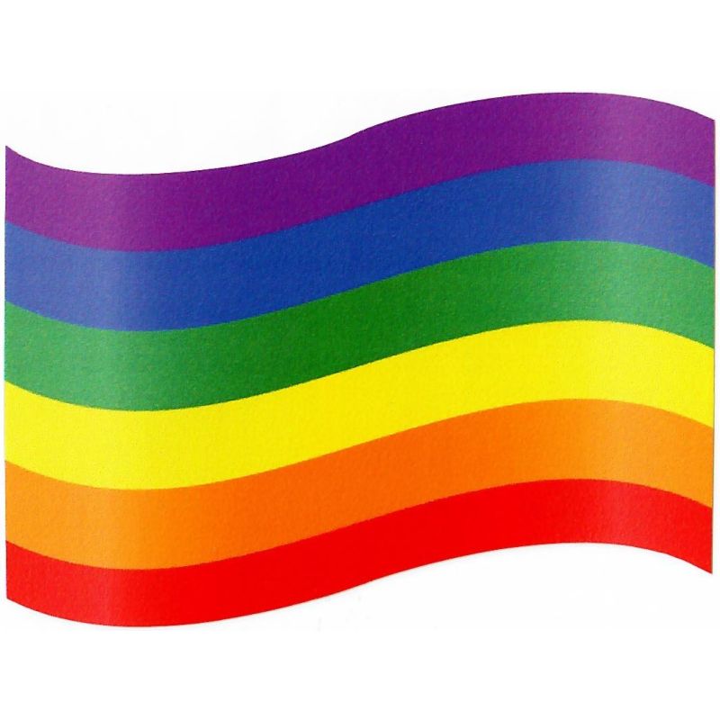 LGBT Rainbow Sticker - 6 Colors Rainbow Peace Flag Pride 9 x 6cm
