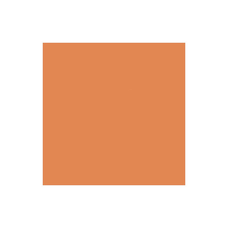 Citadel Dry Golgfag Brown Paint