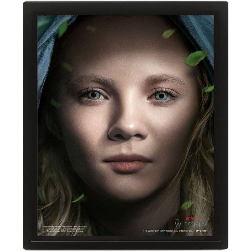 Witcher Pyramid International The Framed 3D Effect Picture Intertwined 26 x 20 cm