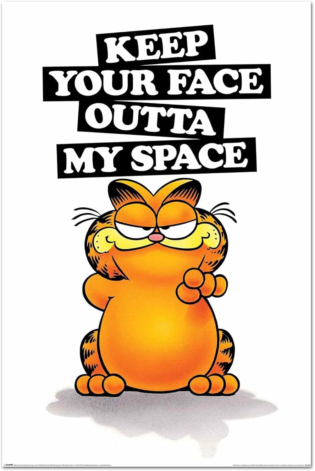 Garfield Poster Keep Your Face Outta My Space Funny Poster Iconic Wall Decoration 61 x 91.5 cm