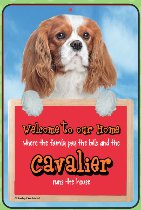 Cavalier (Benheim) Welcome Hang-up
