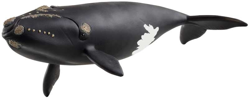 SCHLEICH NORTH ATLANTIC RIGHT WHALE