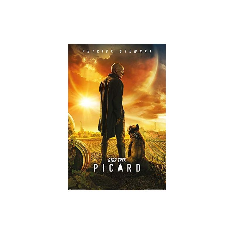 Star Trek 61 x 91.5 cm (Picard Number One) Maxi Poster