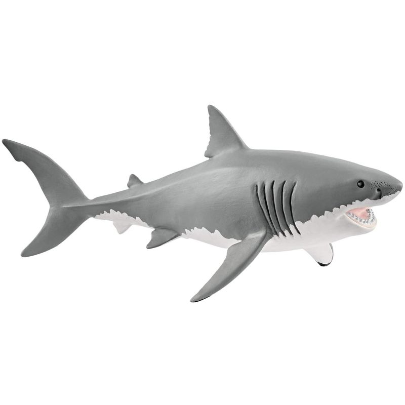 Great White Shark