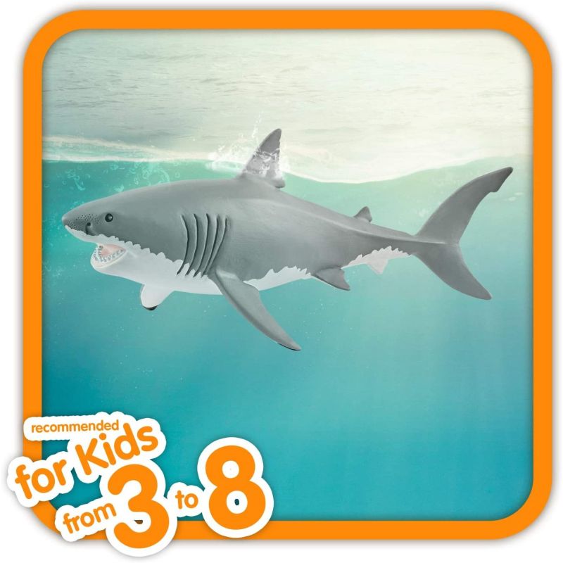 Great White Shark