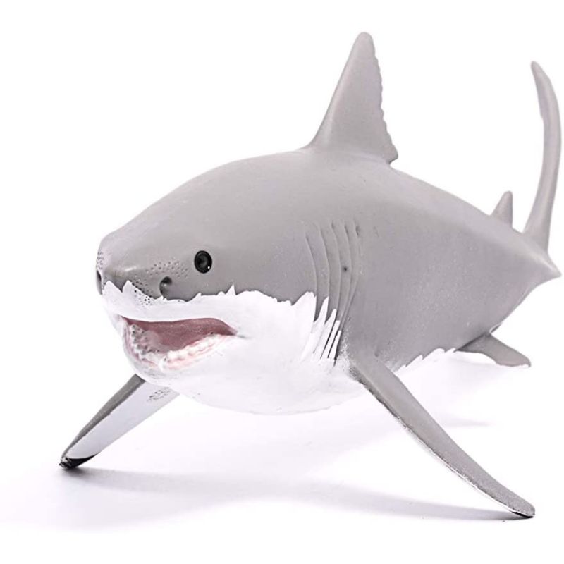 Great White Shark