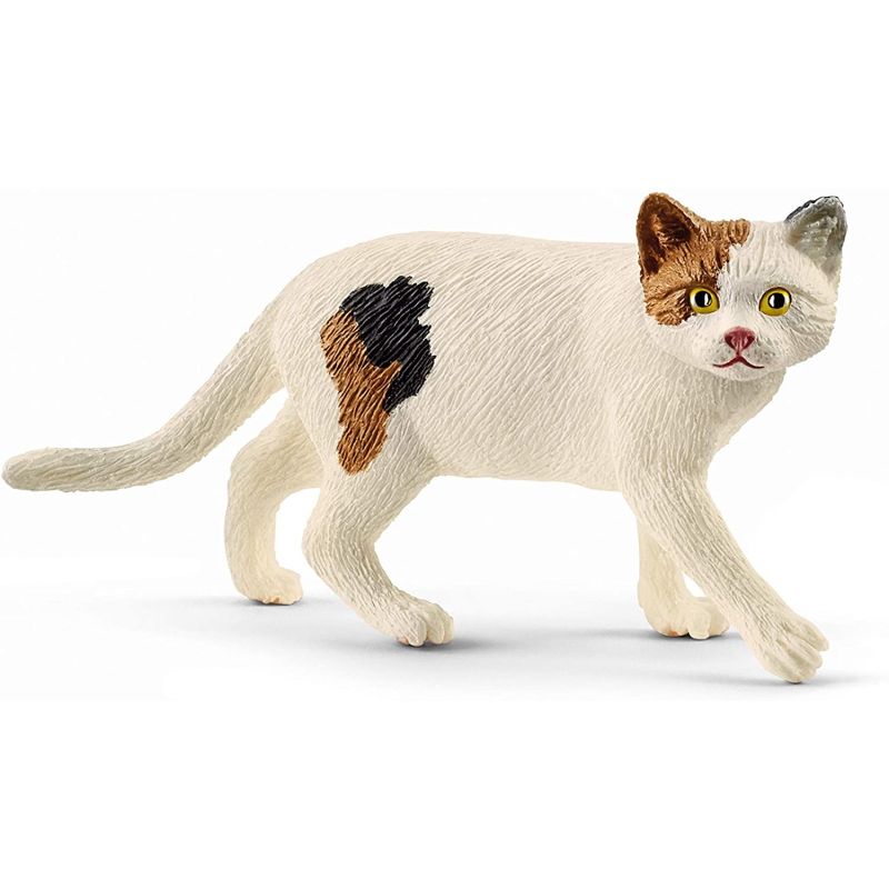 American Shorthair Cat Farm World