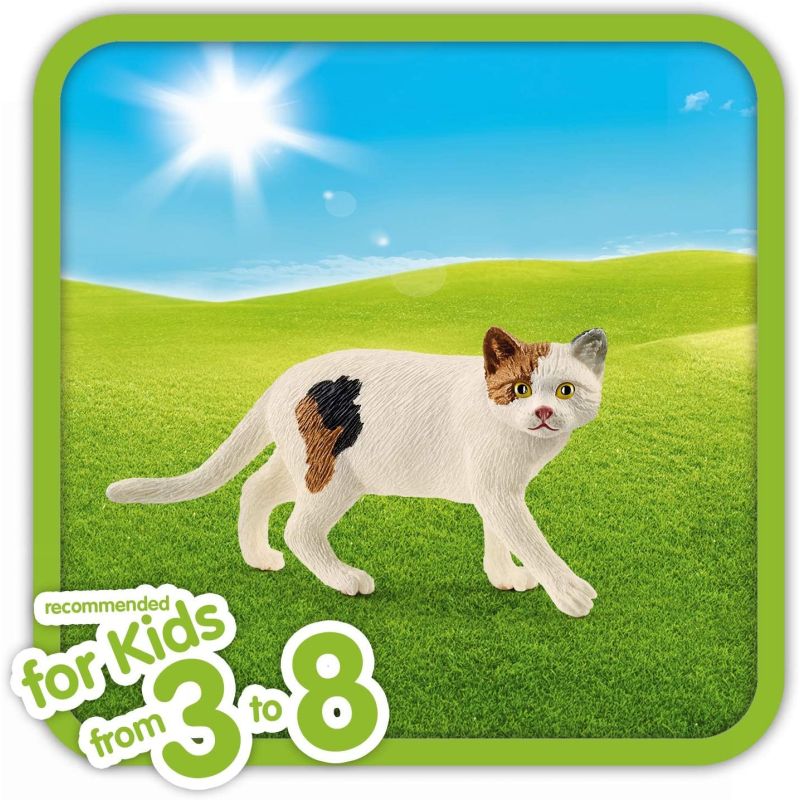 American Shorthair Cat Farm World