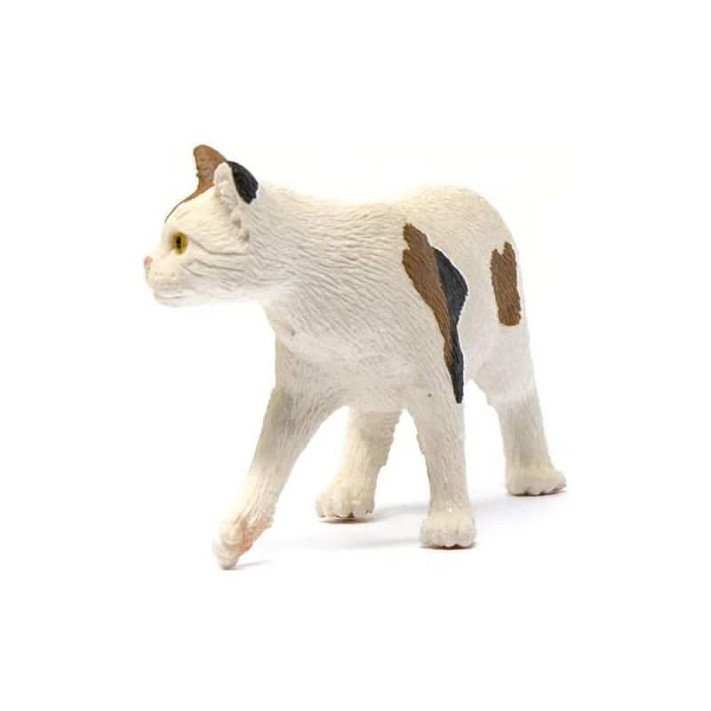 American Shorthair Cat Farm World