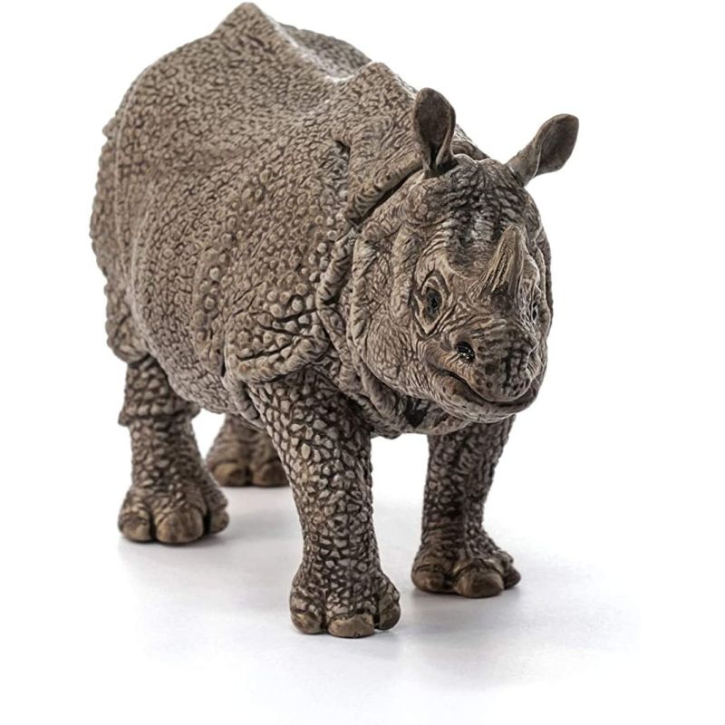 Indian Rhinoceros