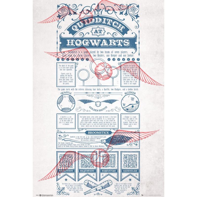 Harry Potter, Quidditch at Hogwarts, Maxi Poster, 65 x 3.5 x 3.5 cm