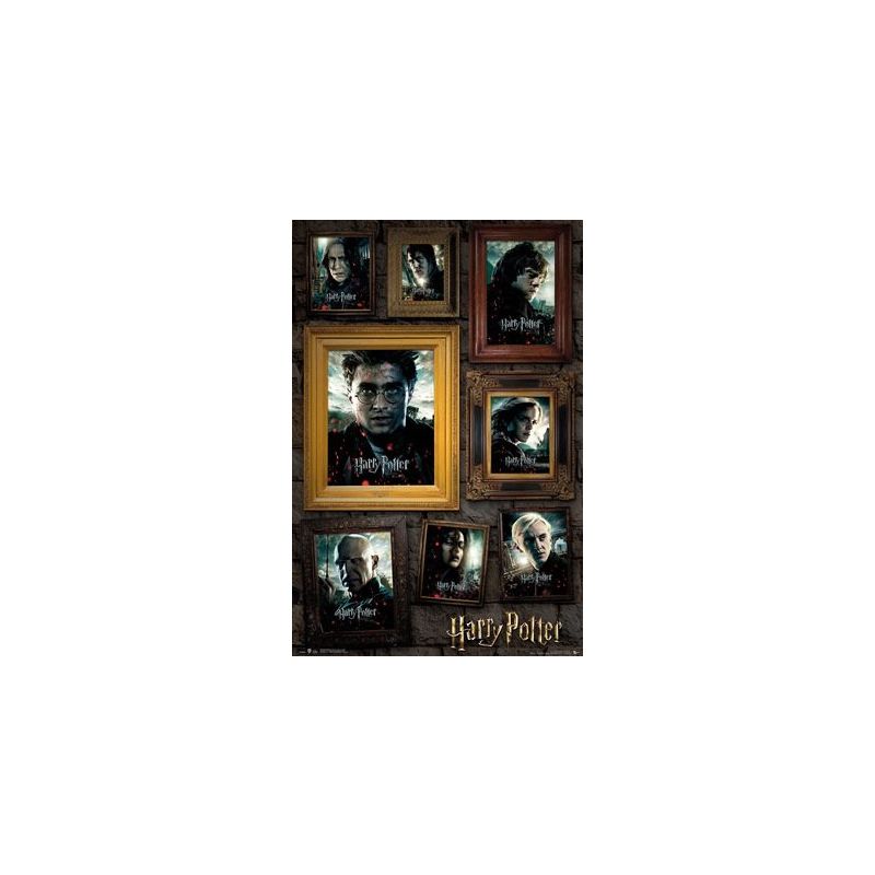 Harry Potter Portrait Maxi Poster     61 x 91.5cm     150gsm