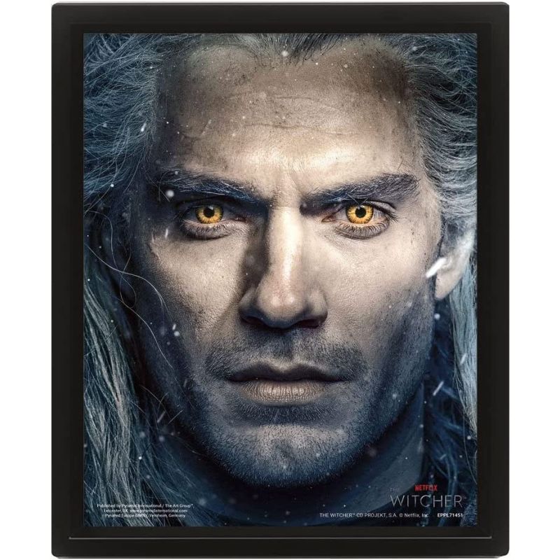 Witcher Pyramid International The Framed 3D Effect Picture Intertwined 26 x 20 cm