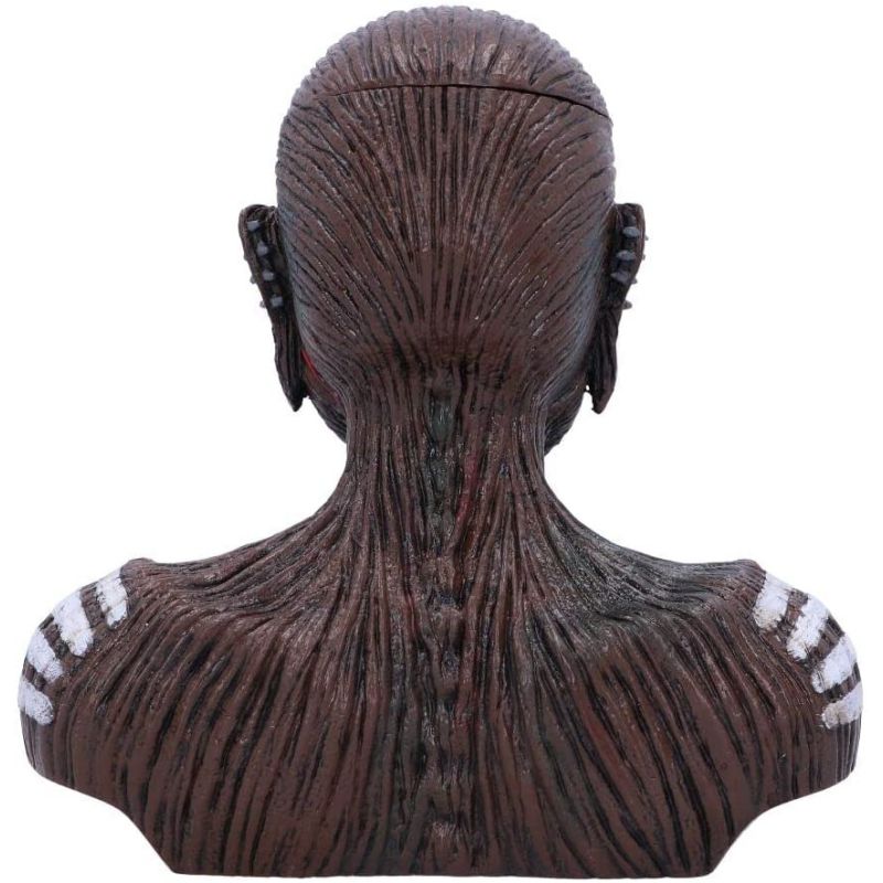 Officially Licensed Iron Maiden The Book of Souls Bust Box (Small) Brown, 11.5cm