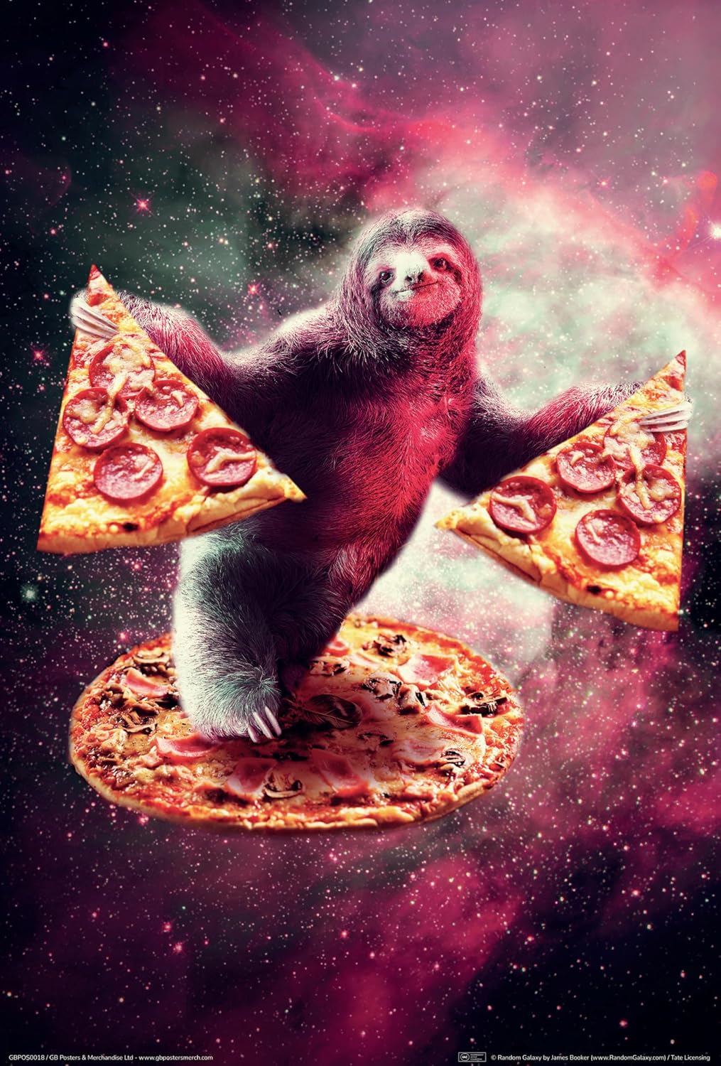 Pizza Sloth 61 x 91.5cm Maxi Poster