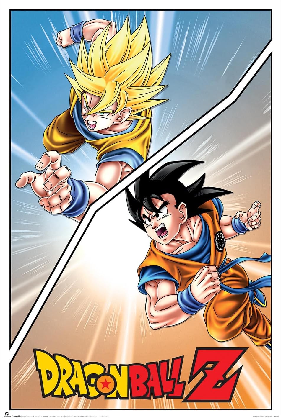 Dragonballz Special Goku Maxi Poster