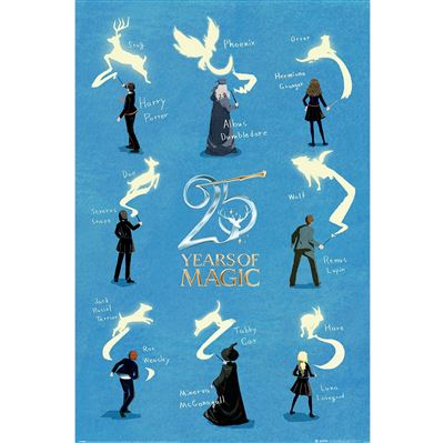 HARRY POTTER (25 YEARS) MAXI POSTER