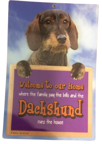 Dachshund (Rough Coat) Welcome Hang-up