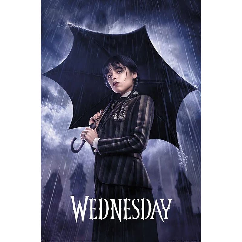Wednesday Downpour Maxi Poster 61x91.5cm