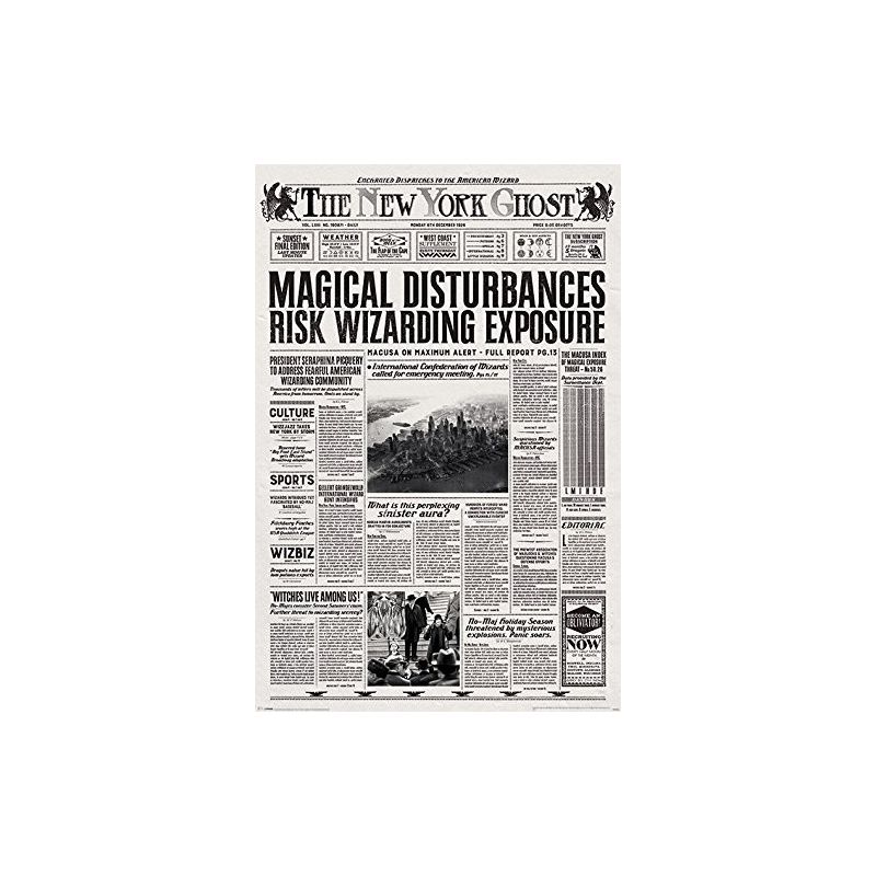 Fantastic Beasts The New York Ghost Maxi Poster, multicolour