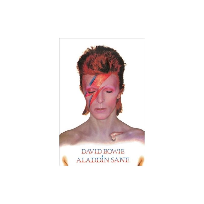 David Bowie Aladdin Sane Maxi Poster