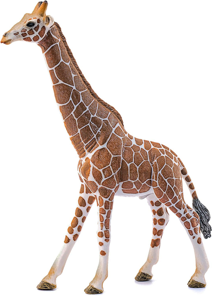 SCHLEICH Giraffe, male Wild Life Toy Figurine for children aged 3-8 Years