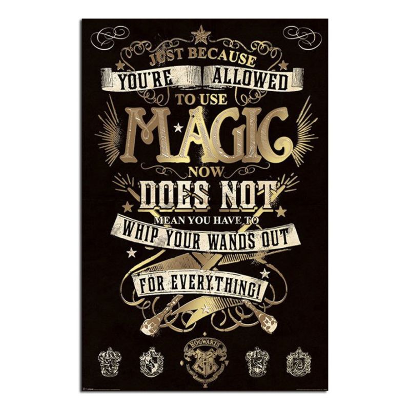 Harry Potter Magic Large Wall Poster New - Maxi Size 36 x 24 Inch